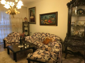 Luxury apartment close to city center, university and children's hospital